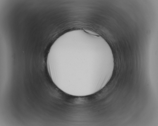 X0000111460320200908101059