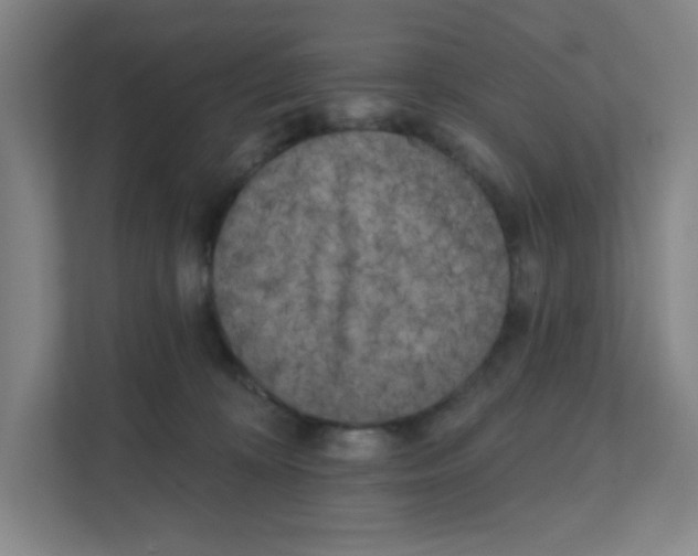 X0000111460324200908101059