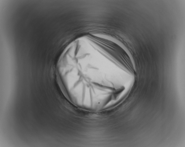 X0000111460325200908101059