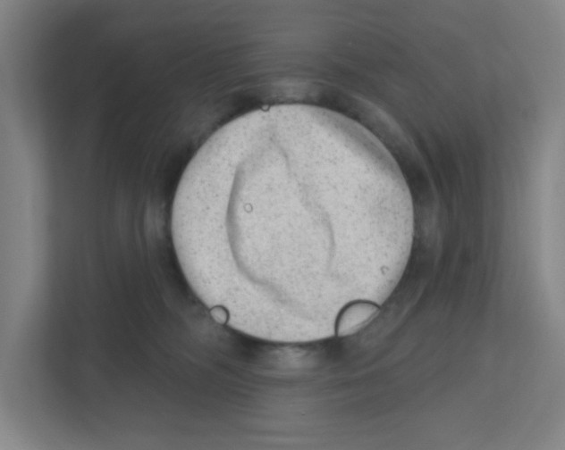 X0000111460326200908101059