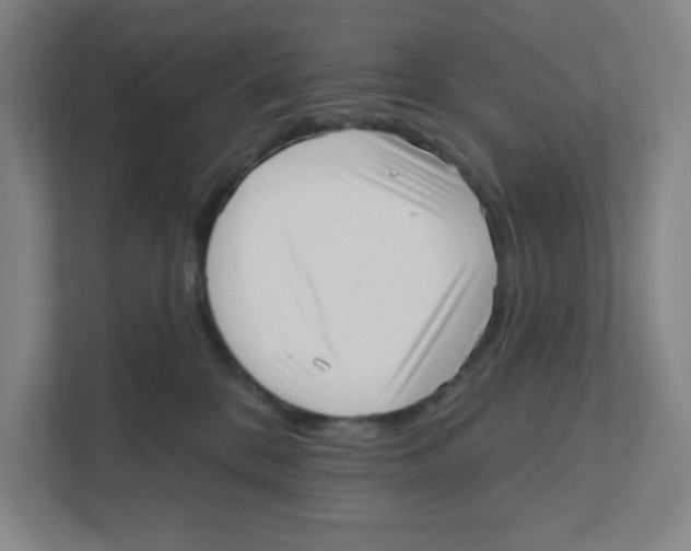 X0000111460328200908101059