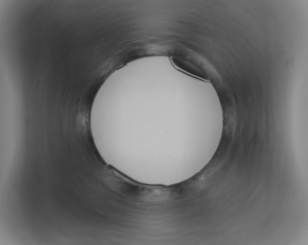 X0000111460329200908101059