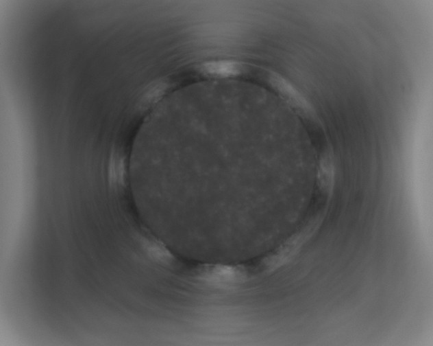 X0000111460330200908101059