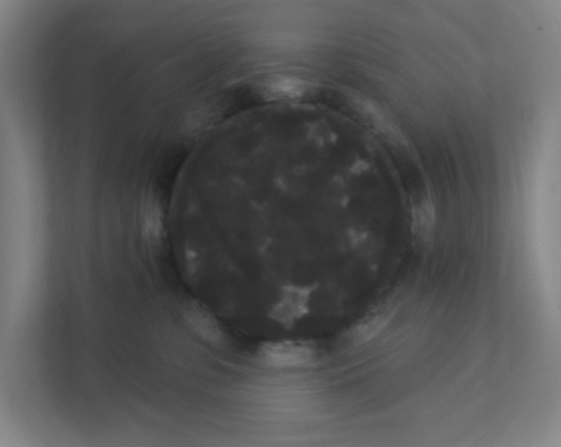 X0000111460331200908101059