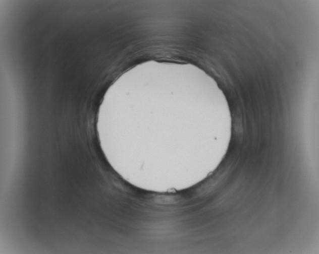 X0000111460332200908101059