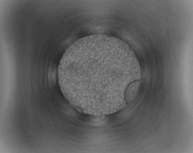 X0000111460334200908101059