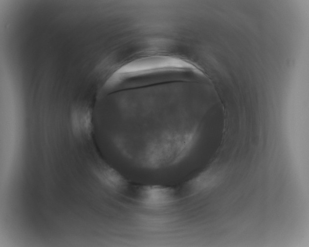 X0000111460336200908101059