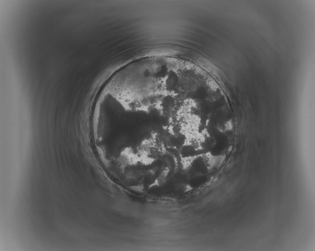 X0000111460337200908101059