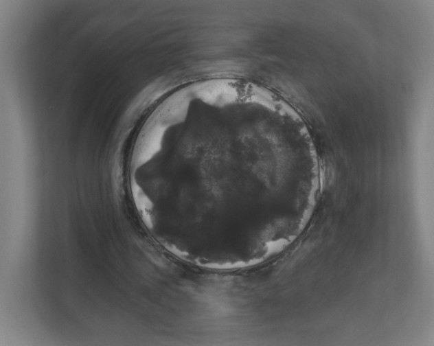 X0000111460339200908101059