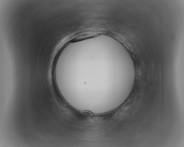 X0000111460340200908101059