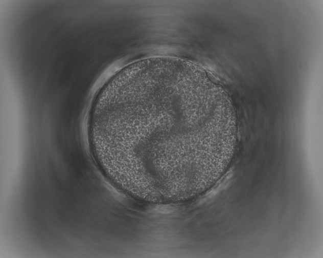 X0000111460341200908101059
