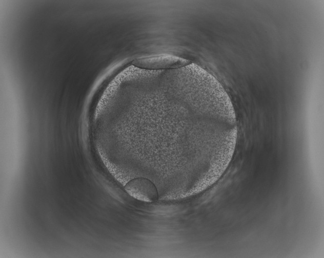 X0000111460342200908101059