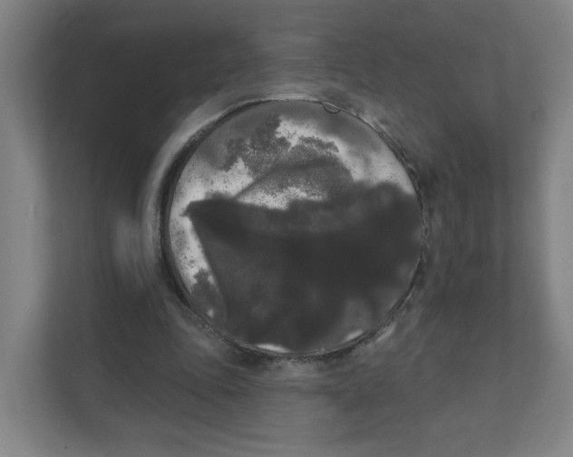 X0000111460343200908101059