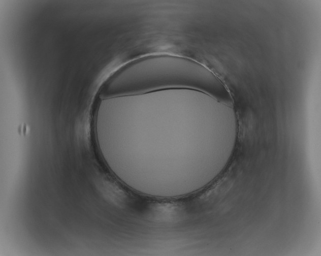 X0000111460344200908101059