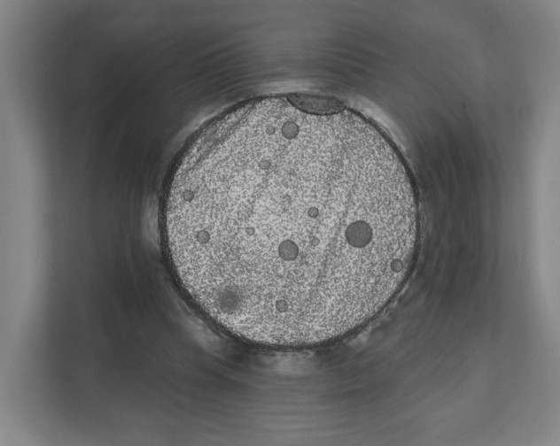 X0000111460345200908101059