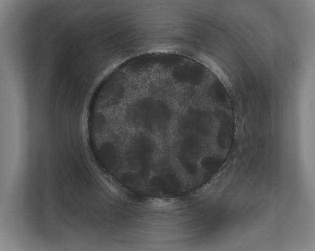 X0000111460346200908101059