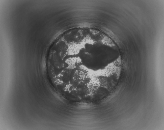 X0000111460347200908101059