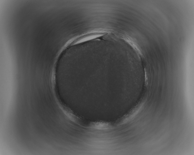 X0000111460348200908101059