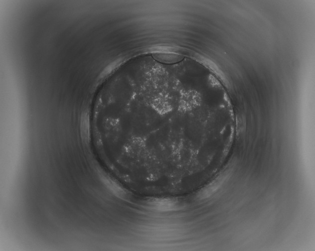 X0000111460349200908101059