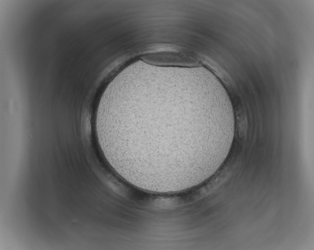 X0000111460350200908101059