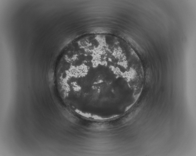 X0000111460351200908101059