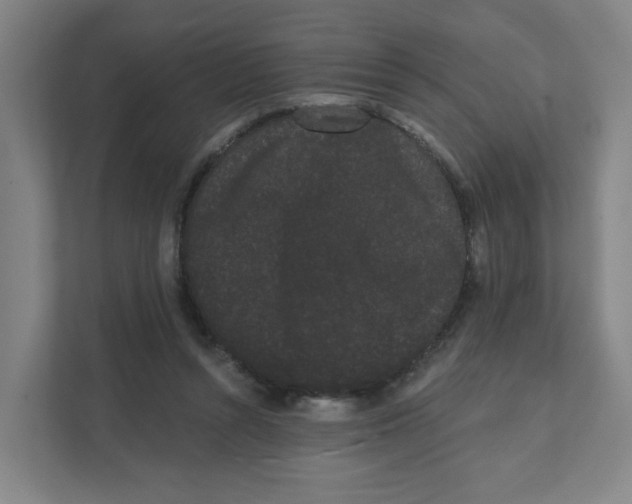 X0000111460352200908101059