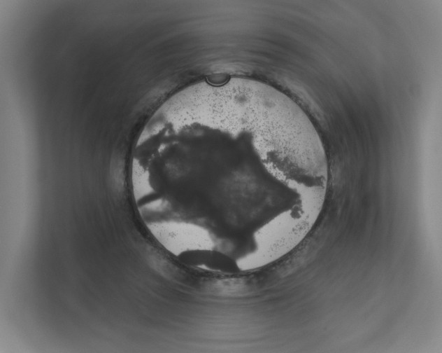X0000111460353200908101059