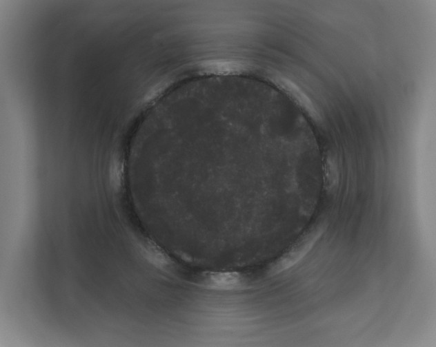 X0000111460355200908101059