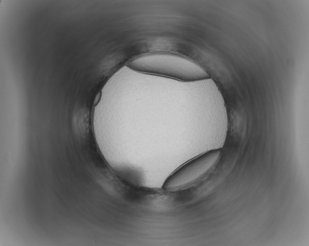 X0000111460356200908101059