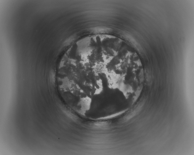 X0000111460357200908101059