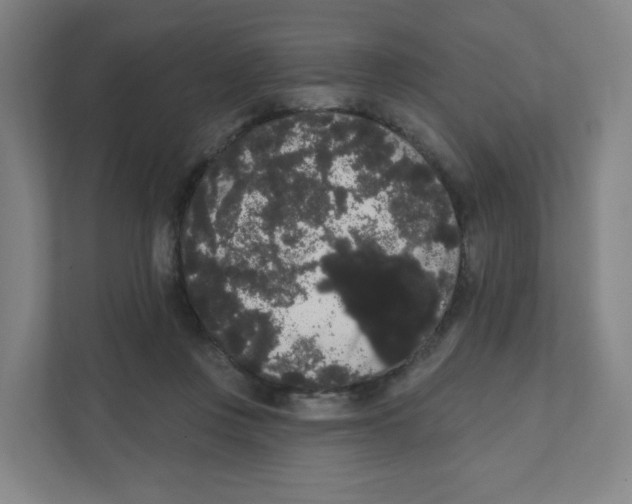 X0000111460359200908101059