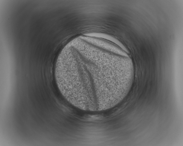 X0000111460360200908101059