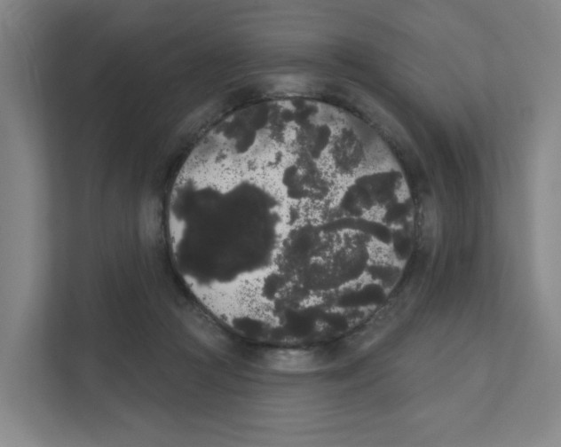X0000111460361200908101059