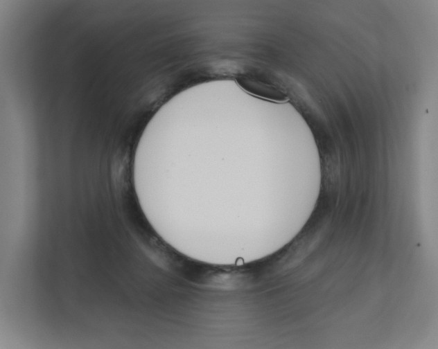 X0000111460364200908101059