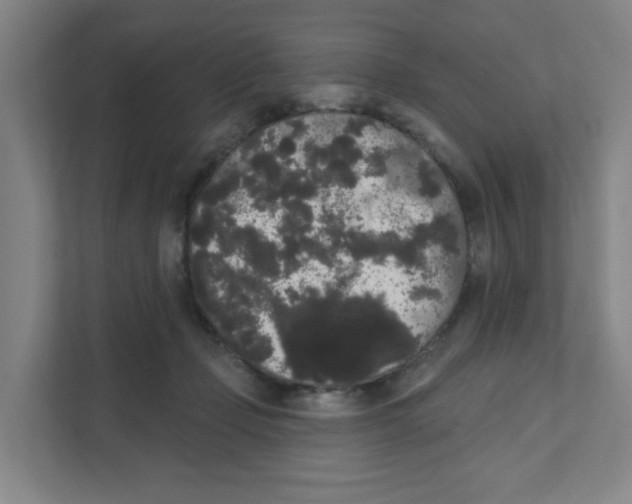 X0000111460365200908101059