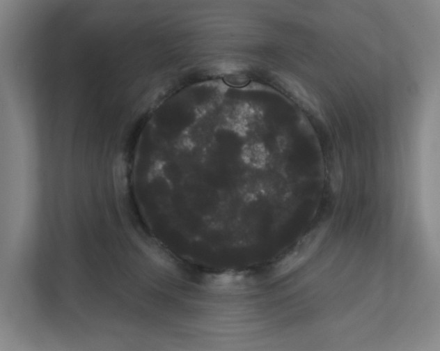 X0000111460366200908101059
