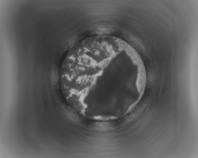 X0000111460367200908101059