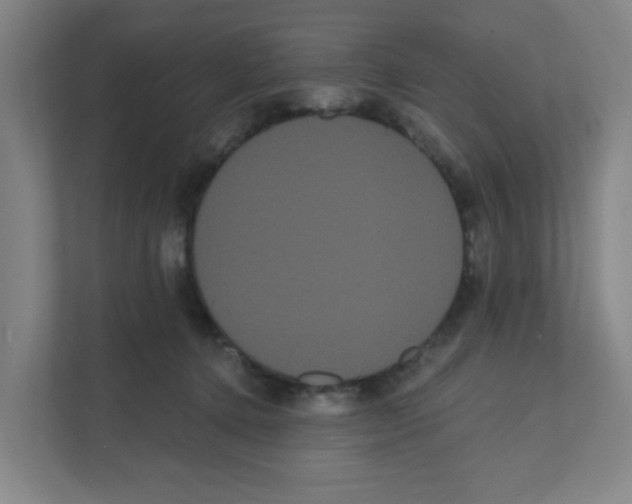 X0000111460368200908101059