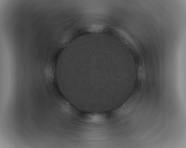 X0000111460370200908101059