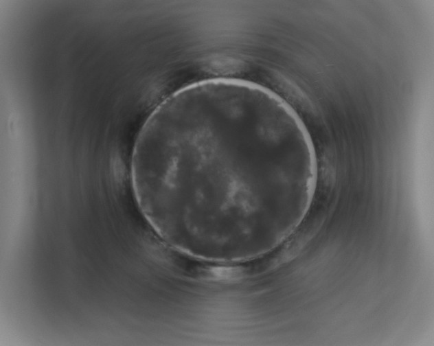 X0000111460371200908101059