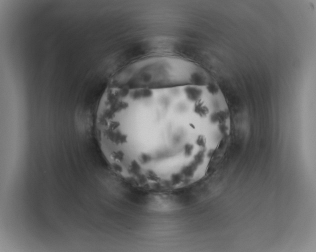 X0000111460372200908101059