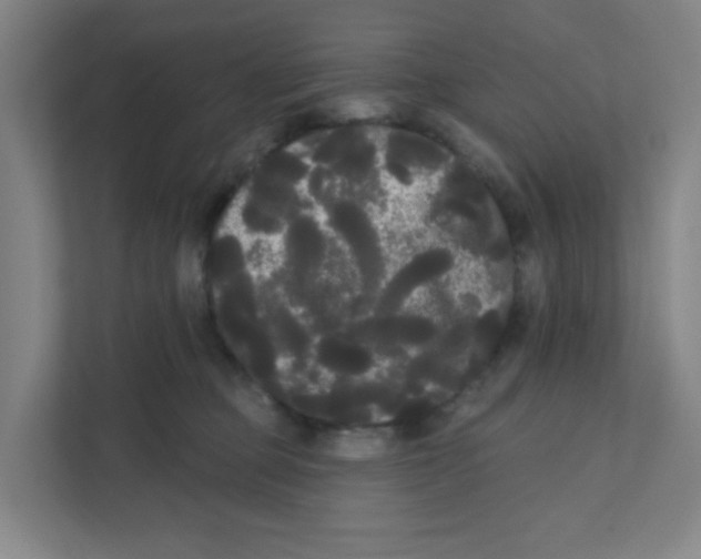 X0000111460373200908101059