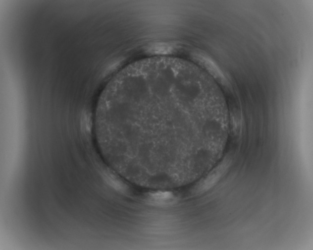 X0000111460374200908101059