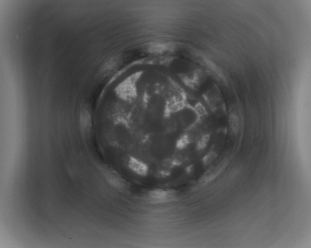 X0000111460375200908101059