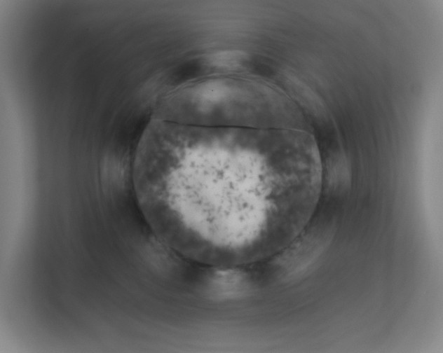 X0000111460376200908101059