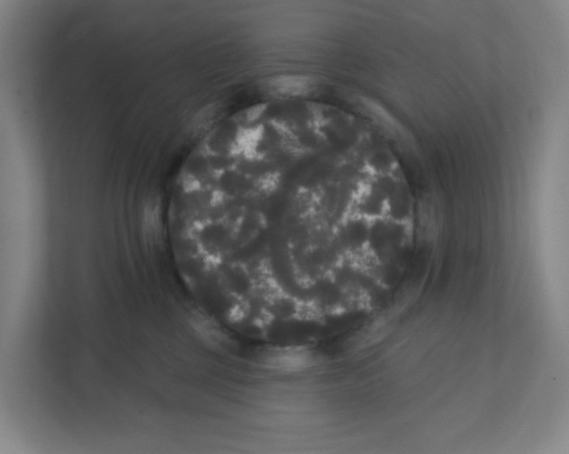 X0000111460377200908101059