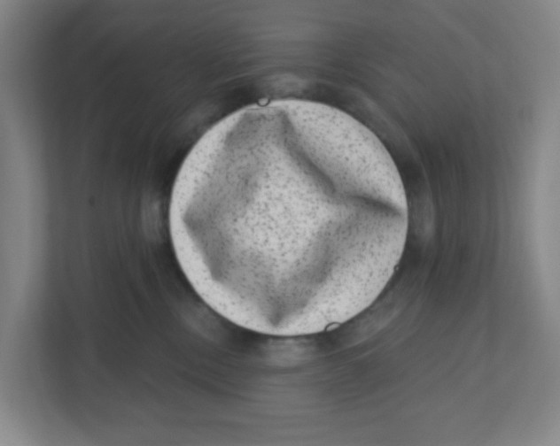 X0000111460378200908101059