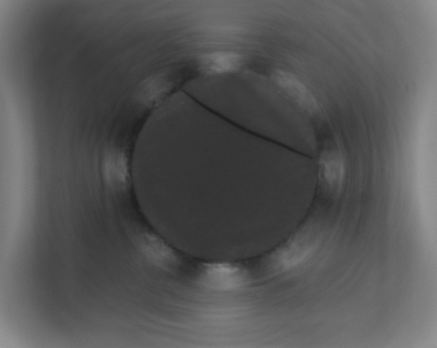 X0000111460380200908101059
