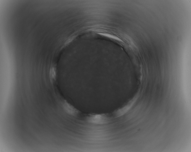 X0000111460382200908101059