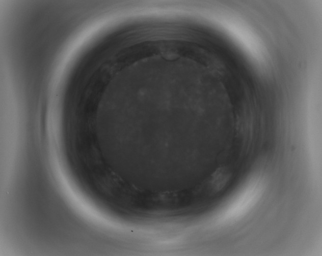 X0000111460383200908101059
